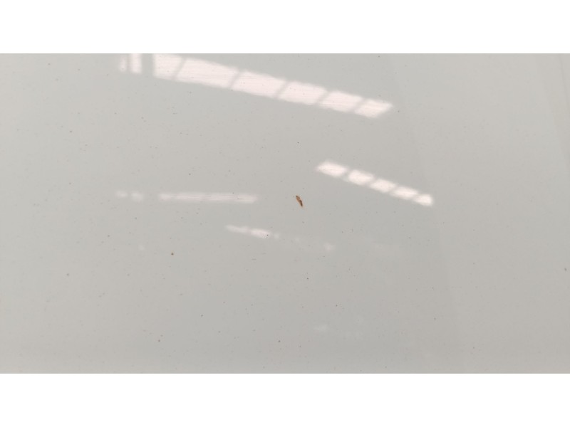 Recambio de capot para volkswagen polo v (6r1, 6c1) 1.0 referencia OEM IAM   