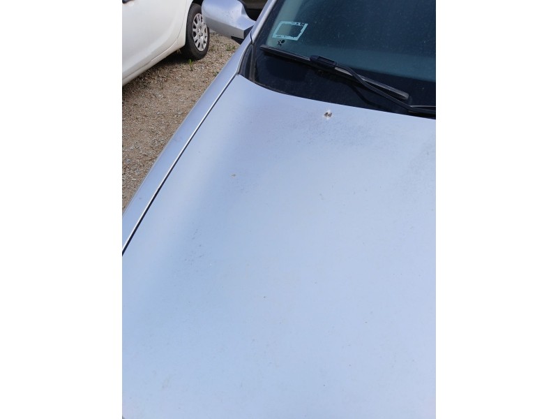 Recambio de capot para renault megane ii station wagon (km0/1_) 1.6 16v referencia OEM IAM   