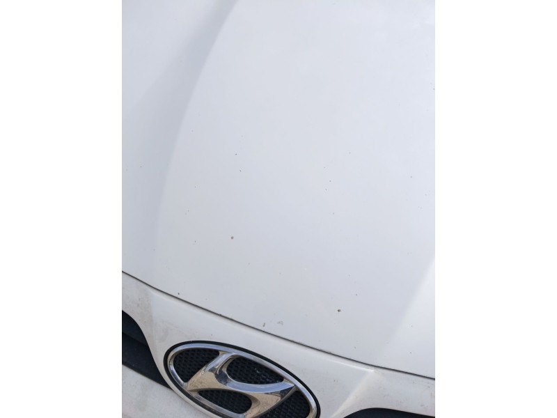 Recambio de capot para hyundai i20 i (pb, pbt) 1.4 crdi referencia OEM IAM   