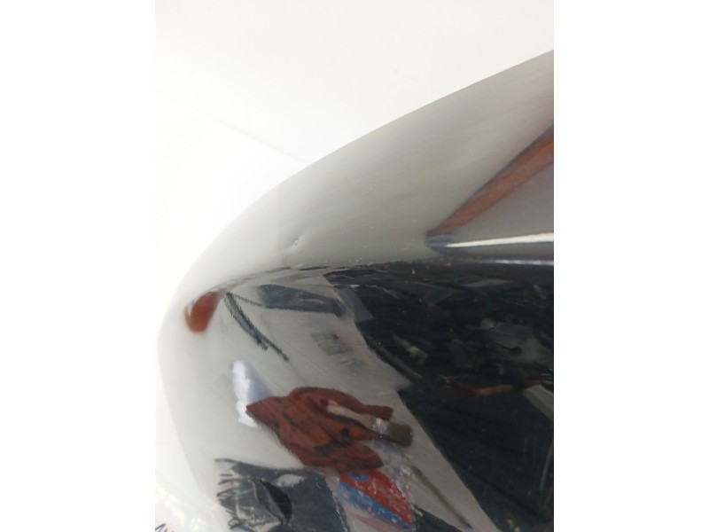 Recambio de aleta delantera izquierda para nissan juke (f15) 1.6 referencia OEM IAM   