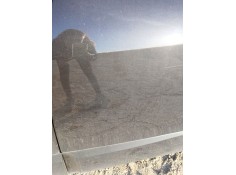 Recambio de puerta trasera izquierda para renault scénic iii (jz0/1_) 1.5 dci referencia OEM IAM    2