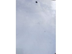 Recambio de capot para renault clio iii (br0/1, cr0/1) 1.2 16v (br02, br0j, br11, cr02, cr0j, cr11) referencia OEM IAM    2