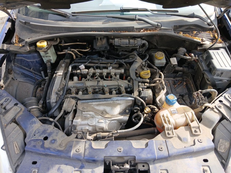 fiat linea (323_, 110_) del año 2010
							