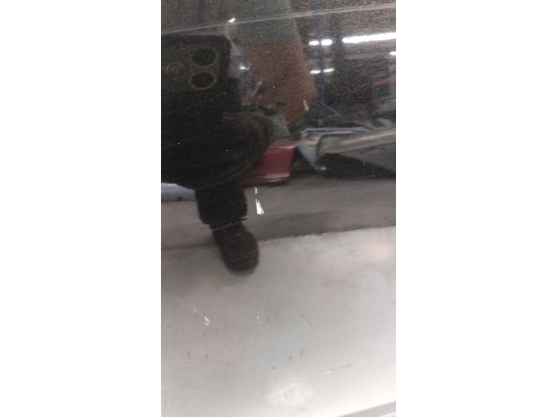 Recambio de puerta trasera derecha para renault scénic iii (jz0/1_) 1.5 dci referencia OEM IAM   