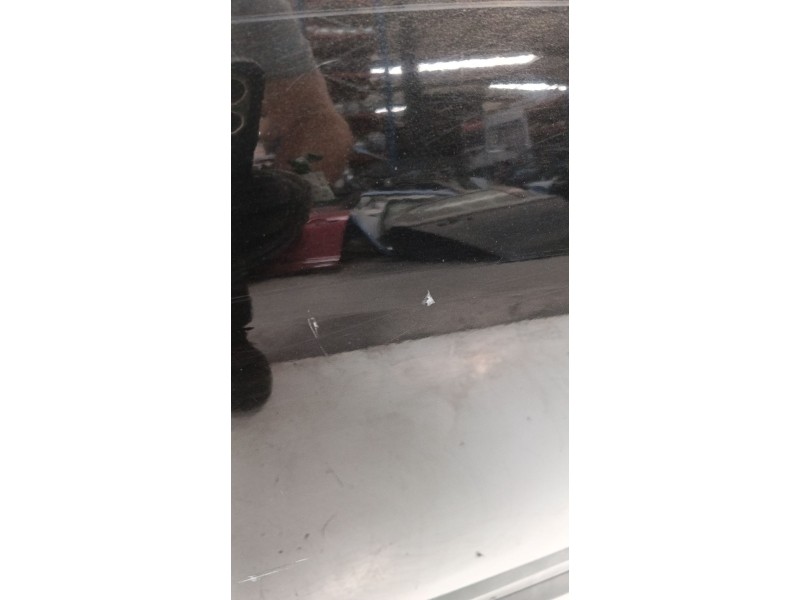 Recambio de puerta trasera derecha para renault scénic iii (jz0/1_) 1.5 dci referencia OEM IAM   
							