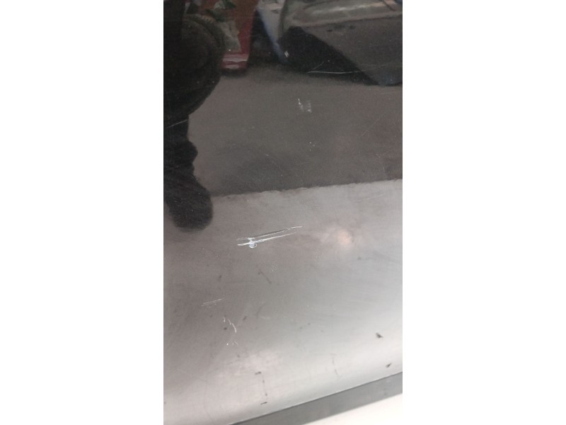 Recambio de puerta trasera derecha para renault scénic iii (jz0/1_) 1.5 dci referencia OEM IAM   