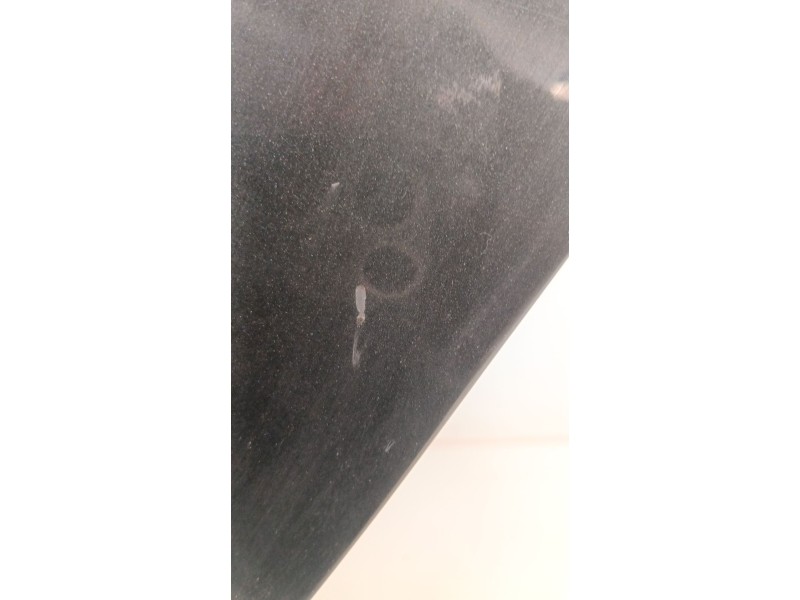 Recambio de puerta trasera izquierda para renault scénic iii (jz0/1_) 1.5 dci referencia OEM IAM   