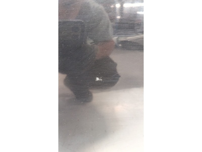 Recambio de puerta delantera izquierda para renault scénic iii (jz0/1_) 1.5 dci referencia OEM IAM   