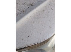 Recambio de capot para citroën c5 iii (rd_) 2.0 hdi 150 / bluehdi 150 (rdrhea, rdrhe8) referencia OEM IAM    2