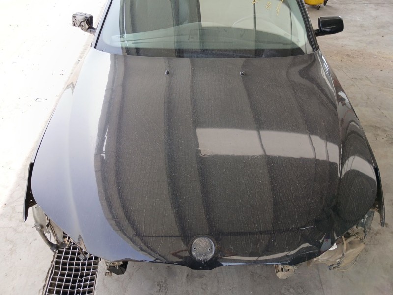 Recambio de capot para bmw 5 (e60) 530 d referencia OEM IAM   