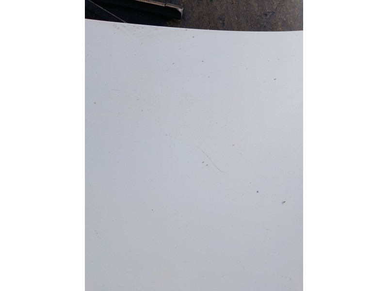 Recambio de capot para renault grand scénic iii (jz0/1_) 1.5 dci referencia OEM IAM   
							