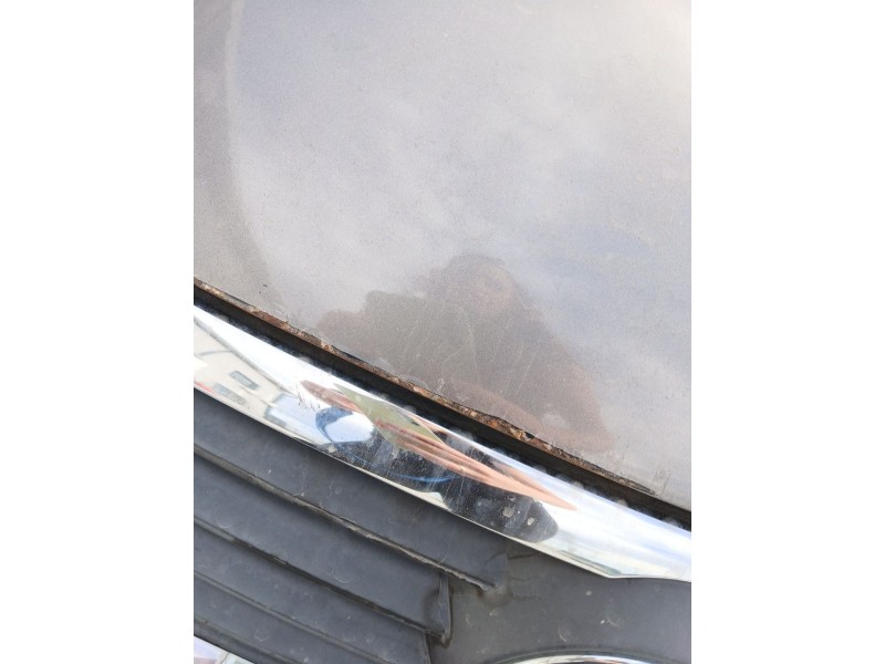 Recambio de capot para volkswagen passat b6 (3c2) 2.0 tdi 16v referencia OEM IAM   