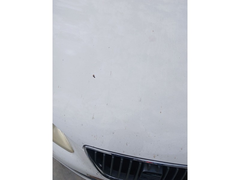 Recambio de capot para seat ibiza iv (6j5, 6p1) 1.6 tdi referencia OEM IAM   
							