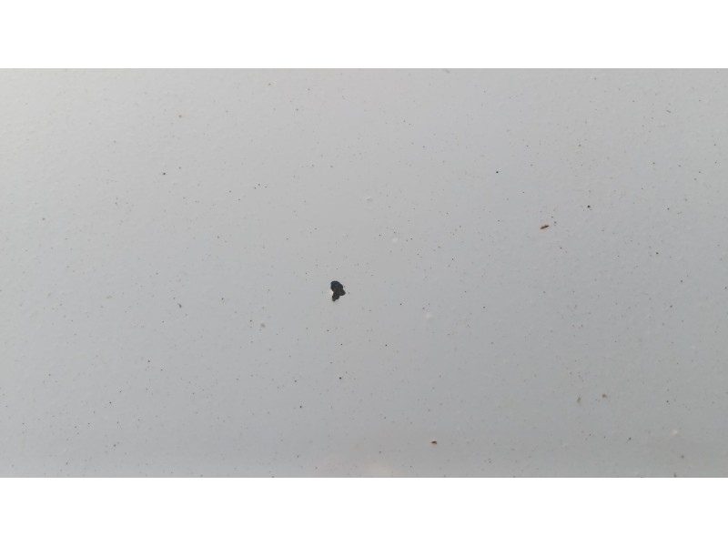 Recambio de capot para seat ibiza iv sc (6j1, 6p5) 1.2 tdi referencia OEM IAM   
							