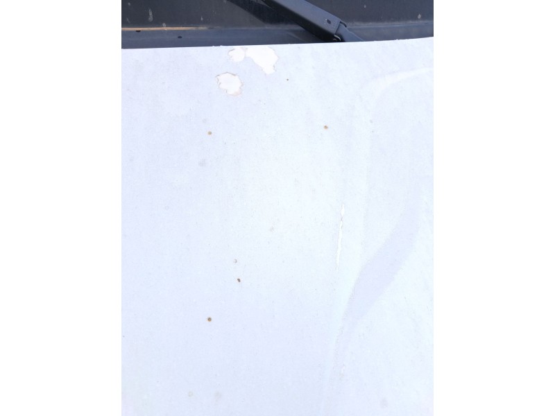 Recambio de capot para iveco daily vi furgoneta 33s13, 35s13, 35c13 referencia OEM IAM   
							