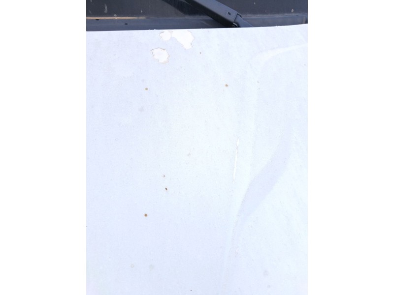 Recambio de capot para iveco daily vi furgoneta 33s13, 35s13, 35c13 referencia OEM IAM   
							