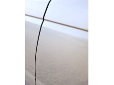 Recambio de puerta trasera izquierda para land rover range rover sport i (l320) 2.7 d 4x4 referencia OEM IAM    2