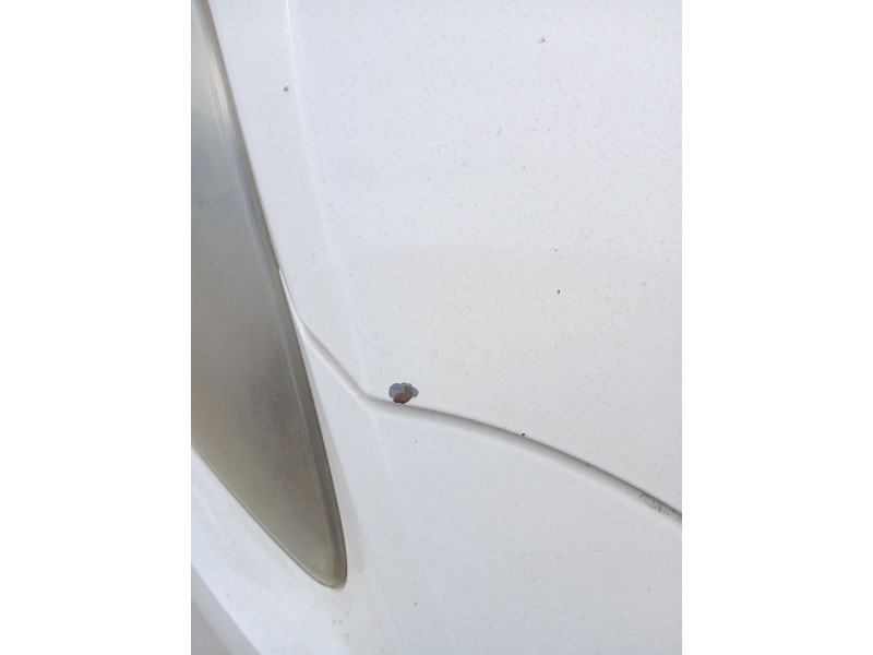 Recambio de capot delantero para seat leon (1p1) 1.4 tsi referencia OEM IAM   
							