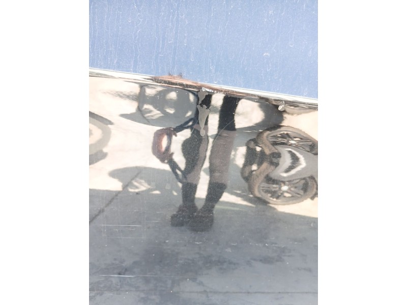 Recambio de puerta trasera derecha para bmw 3 (e90) 320 i referencia OEM IAM   