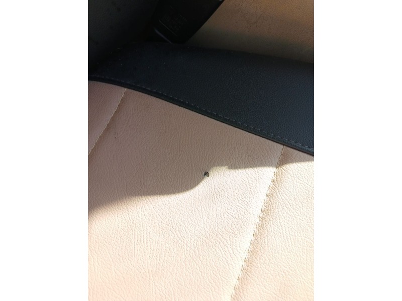 Recambio de asiento delantero derecho para bmw 3 (e90) 320 i referencia OEM IAM   
							