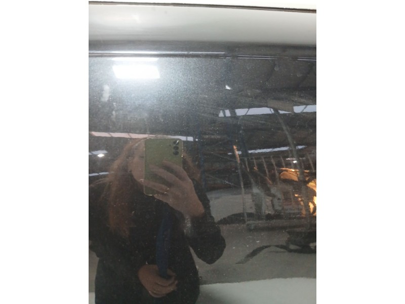 Recambio de puerta trasera izquierda para audi a6 c6 (4f2) 2.7 tdi referencia OEM IAM   