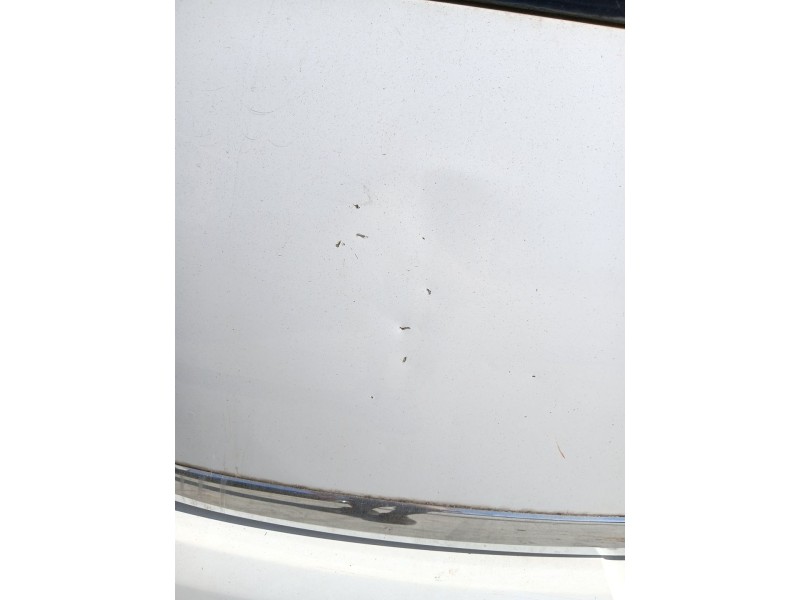 Recambio de porton trasero para citroën c3 ii (sc_) 1.2 vti 82 referencia OEM IAM   
							