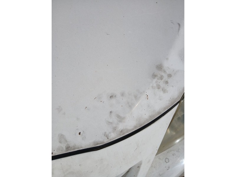 Recambio de capot para toyota verso (_r2_) 2.0 d-4d (aur20_) referencia OEM IAM   
							