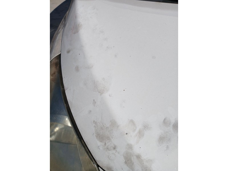 Recambio de capot para toyota verso (_r2_) 2.0 d-4d (aur20_) referencia OEM IAM   
