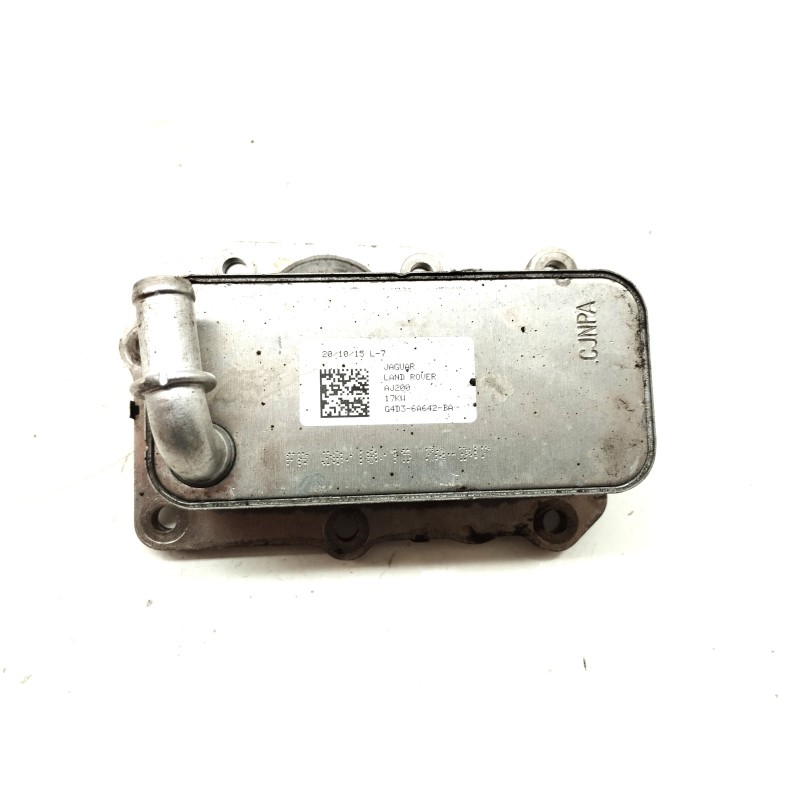 Recambio de radiador aceite para jaguar xe 2.0 diesel cat referencia OEM IAM G4D36A642BA  