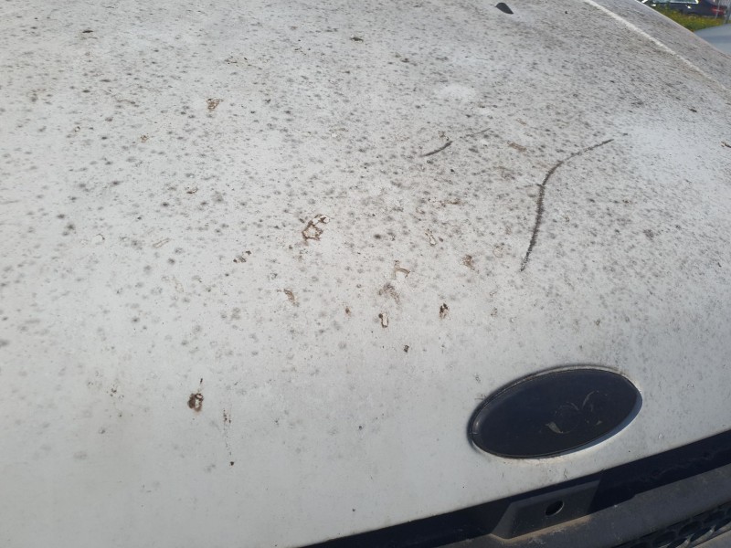 Recambio de capot para ford transit connect (tc7) 1.8 tdci 75 cv referencia OEM IAM   