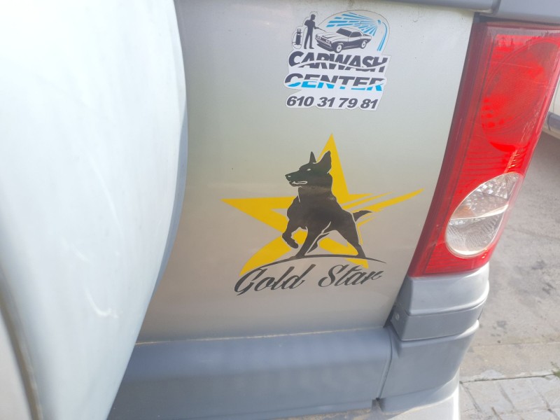 Recambio de porton trasero para tata safari (42_fd) 3.0 d 4x4 referencia OEM IAM   