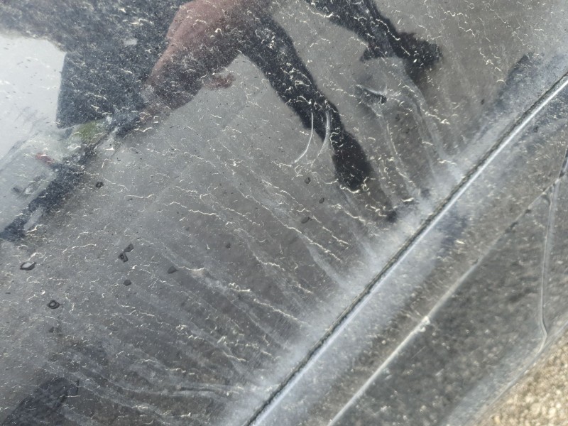 Recambio de puerta trasera izquierda para mercedes-benz clase c (w203) c 200 cdi (203.007) referencia OEM IAM   