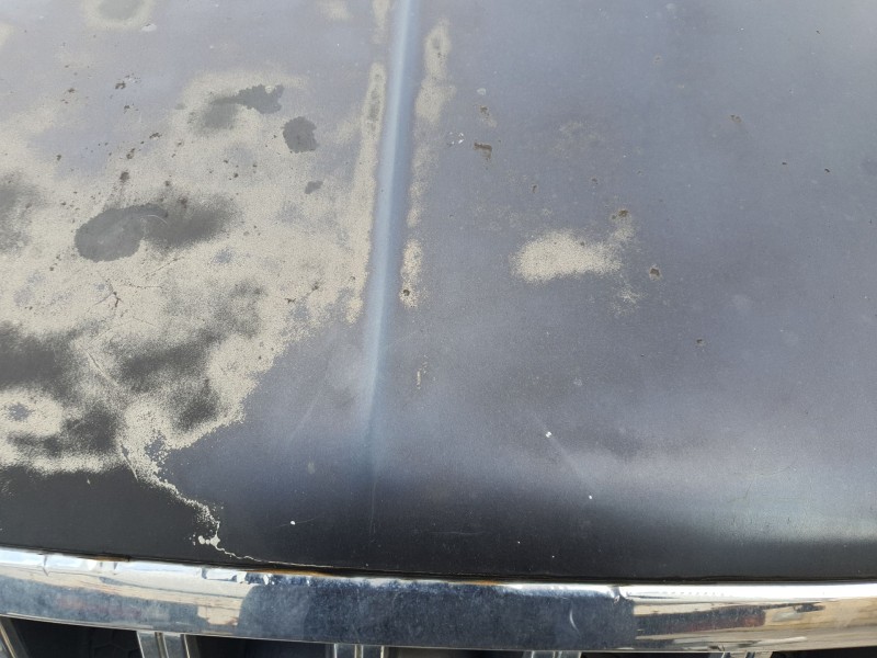 Recambio de capot para hyundai terracan (hp) 3.5 i v6 4wd referencia OEM IAM   