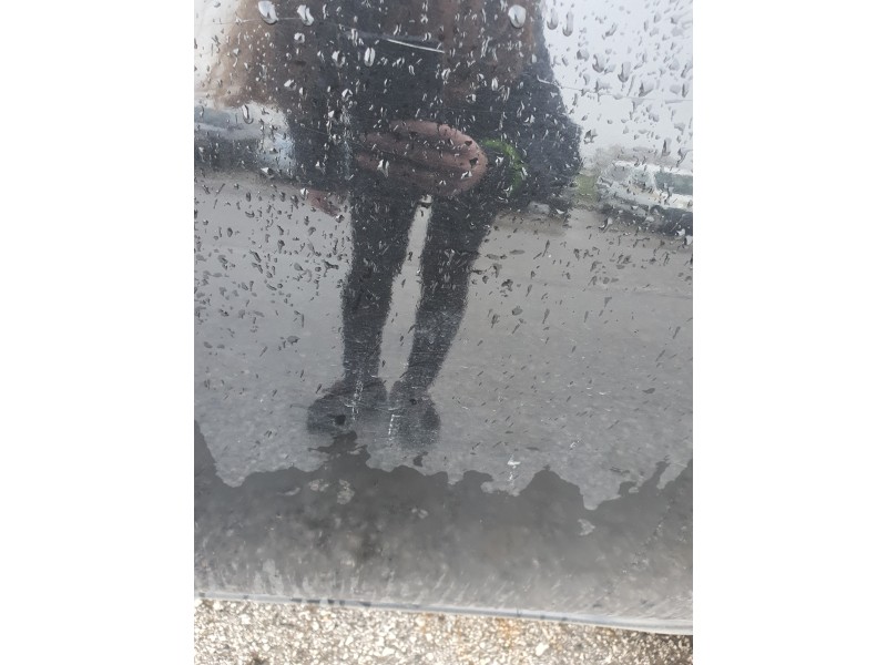 Recambio de puerta trasera izquierda para nissan micra iii (k12) 1.2 16v referencia OEM IAM   