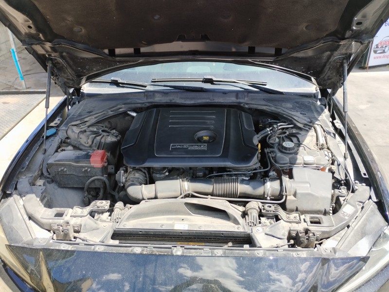 jaguar xe del año 2016