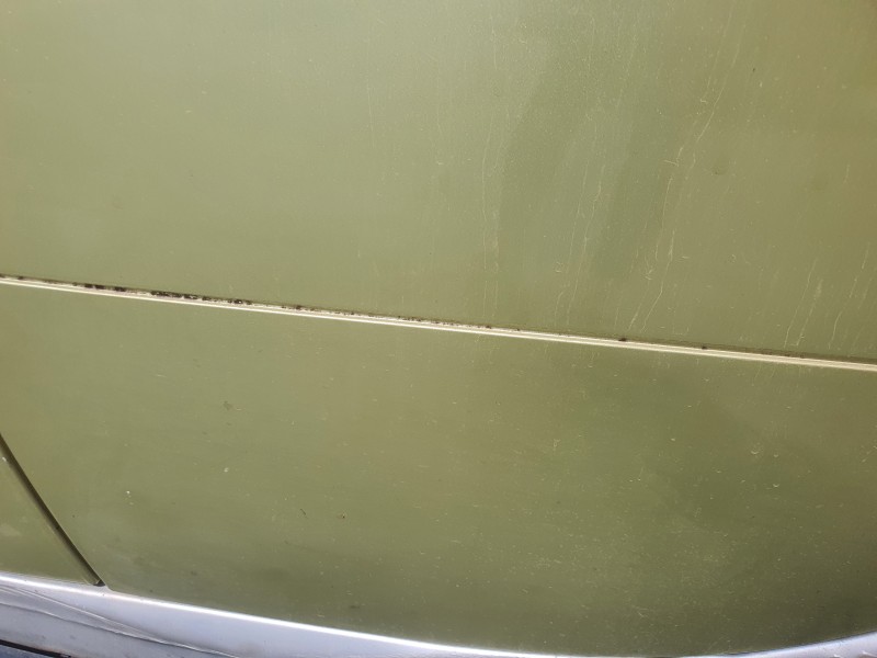 Recambio de puerta trasera izquierda para smart forfour 1.3 cat referencia OEM IAM   