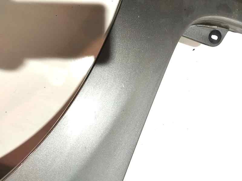 Recambio de aleta delantera derecha para renault clio iii authentique referencia OEM IAM   