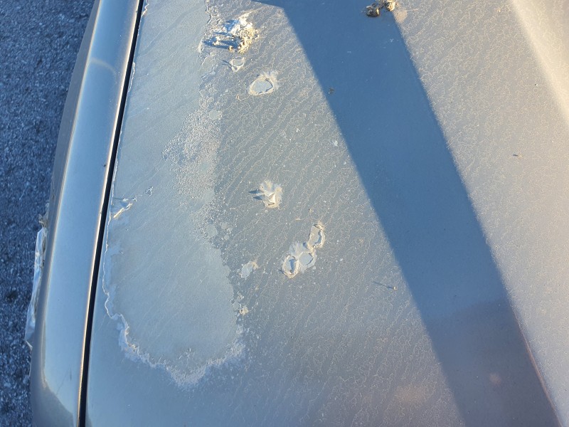 Recambio de capot para bmw x5 (e53) 4.4 v8 32v cat referencia OEM IAM   