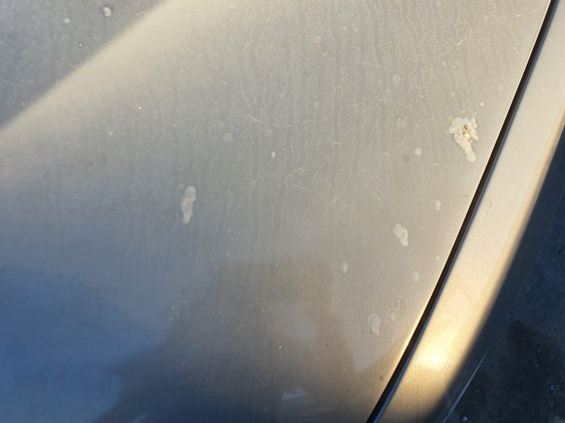 Recambio de capot para bmw x5 (e53) 4.4 v8 32v cat referencia OEM IAM   