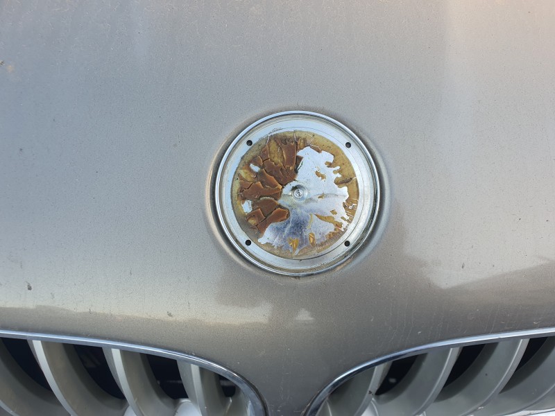 Recambio de capot para bmw x5 (e53) 4.4 v8 32v cat referencia OEM IAM   