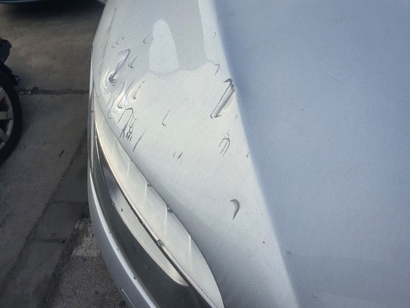 Recambio de capot para audi q7 (4l) 3.0 tdi (176kw) referencia OEM IAM   