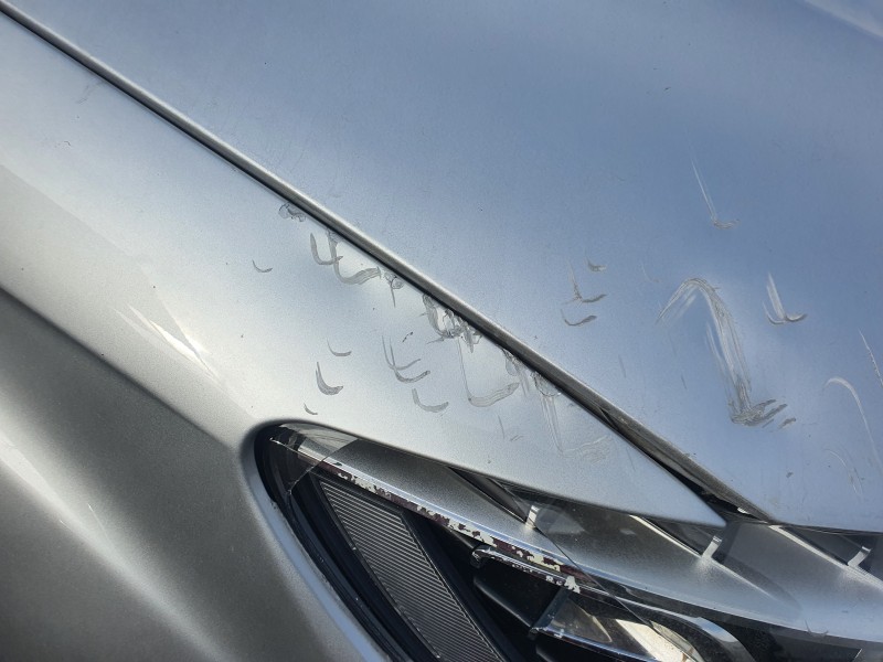 Recambio de capot para audi q7 (4l) 3.0 tdi (176kw) referencia OEM IAM   