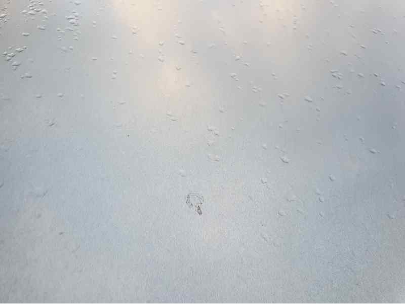 Recambio de capot para citroën berlingo cuadro 1.6hdi 90 referencia OEM IAM   