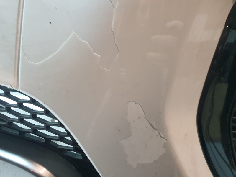 Recambio de paragolpes delantero para land rover evoque 2.0 td4 cat referencia OEM IAM   