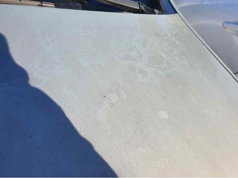 Recambio de capot para opel zafira b 1.9 cdti 16cv referencia OEM IAM   