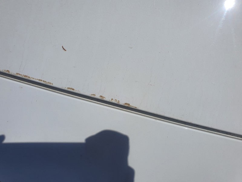 Recambio de capot para jaguar i-pace se referencia OEM IAM   