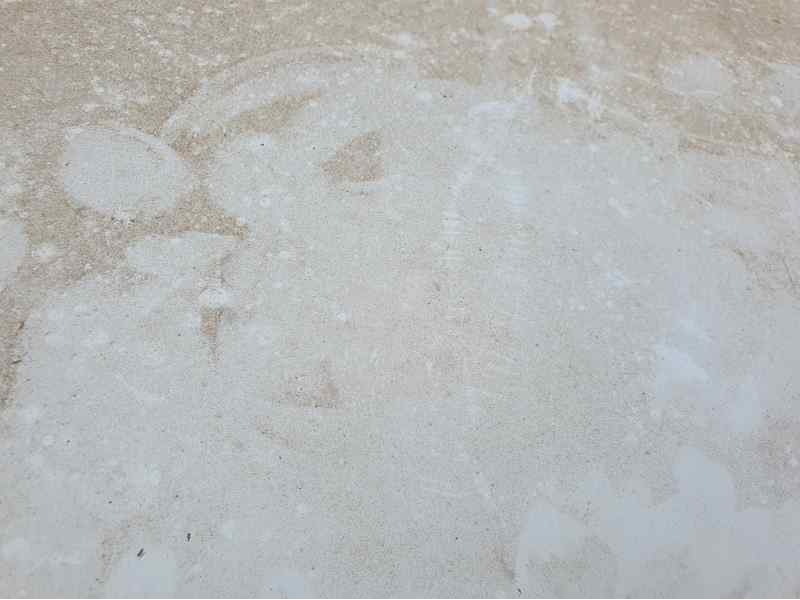 Recambio de capot para renault kangoo express 1.5 dci referencia OEM IAM   