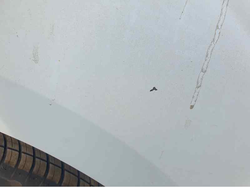 Recambio de aleta delantera derecha para renault kangoo express 1.5 dci referencia OEM IAM   