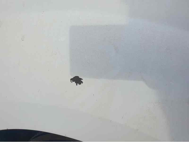 Recambio de aleta delantera derecha para renault kangoo express 1.5 dci referencia OEM IAM   