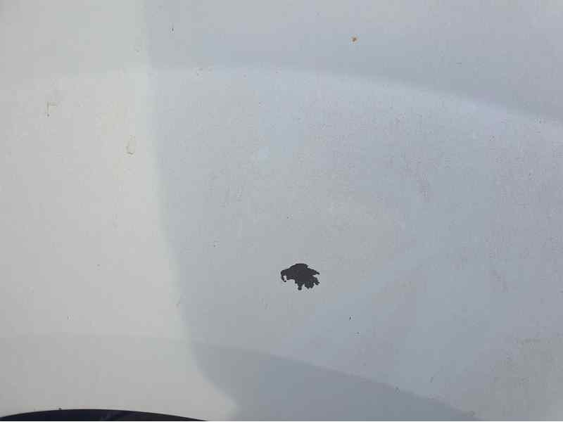 Recambio de aleta delantera derecha para renault kangoo express 1.5 dci referencia OEM IAM   